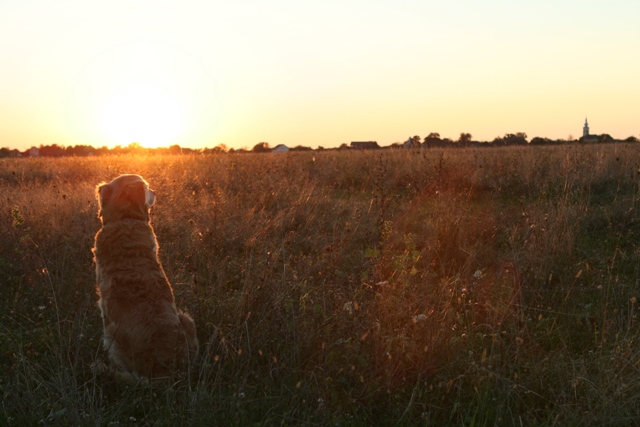 Pauli beim Sundowner...